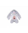 Plush Stuffed Animal with Shirt