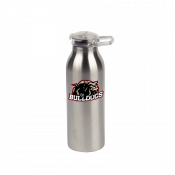 Premium 20oz Stainless Steel Insulated Bottle 