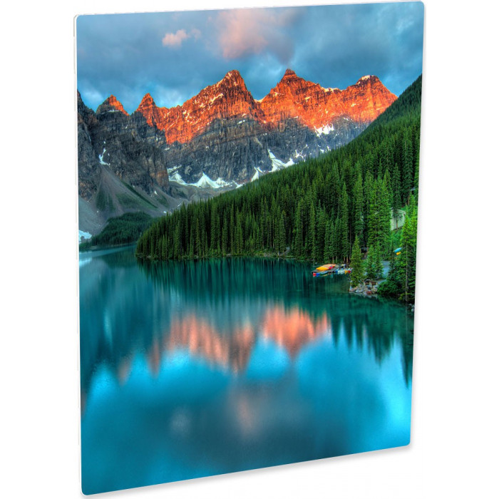 printer for mobile use