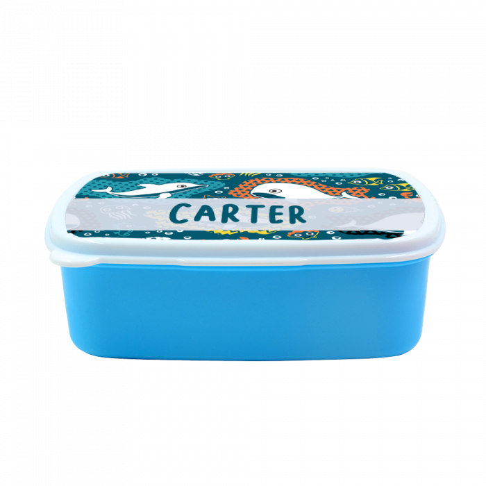 Kids Plastic Lunch Box