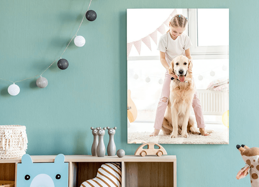picture of a child and dog on the wall with toys displayed under and decorations hung on the wall